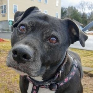 Meet your Posher, Scott